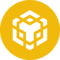 BNB icon